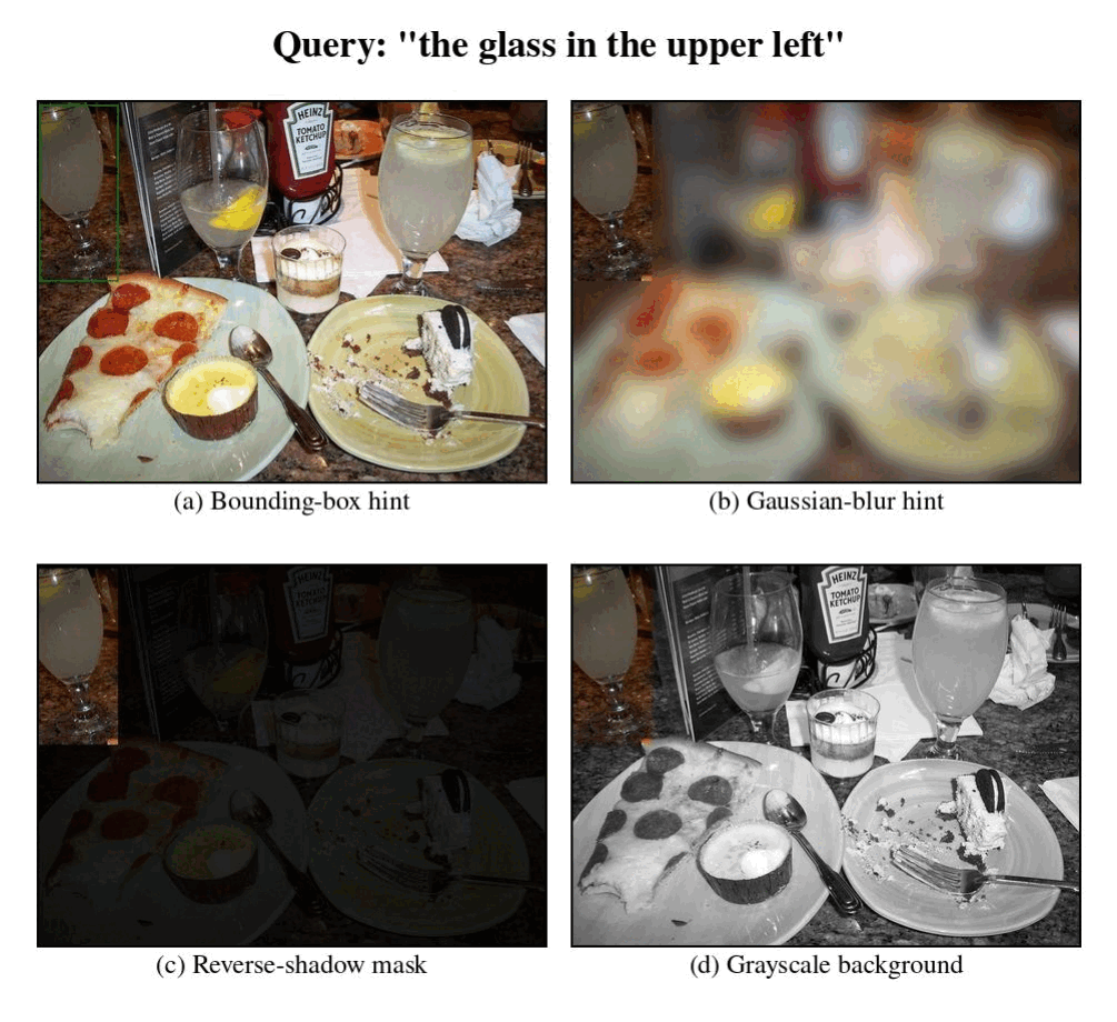 Comparison of bounding-box, Gaussian blur, reverse-shadow, and grayscale privileged visual hints